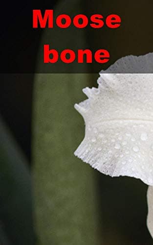 Moose bone (Catalan Edition) Kindle Edition