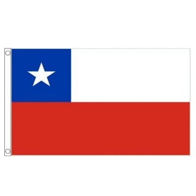 Flagtex Chile Small Flag