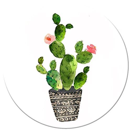 Multi-Function Mounts and Stands, Expanding Pop Stand and Grip Socket for Smartphones, iPhone and Tablets - Cute Cactus Painting