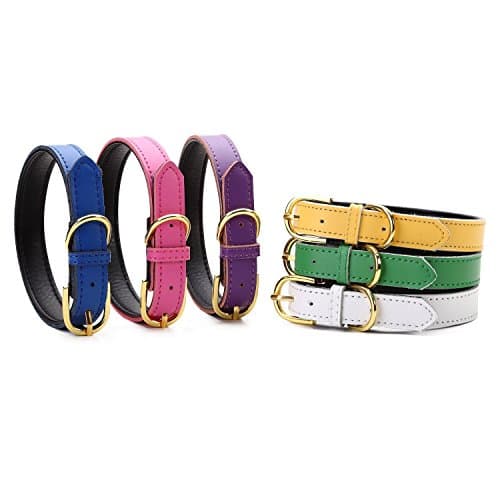 Petween Basic Classic Padded Leather Pet Collars for Cats Puppy Small Medium Dogs