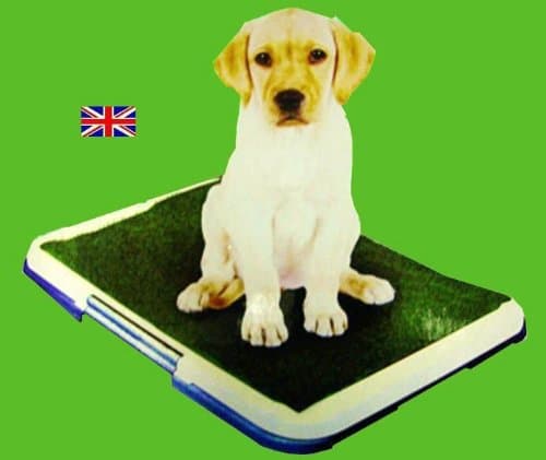 PET POTTY PAD PATCH TRAINING PAD