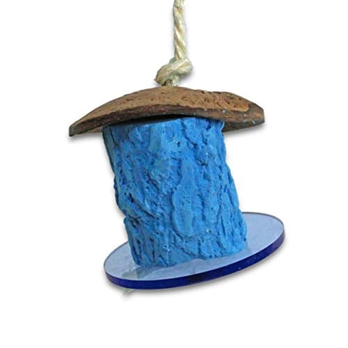 Foraging Trunk - flavored with maple syrup -S