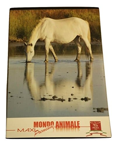 PIGNA Lined Notebook 3 A Maxi Elementary Premium High Quality Animal World cavallo