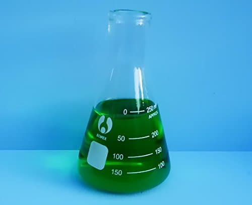 250 mL Erlenmeyer Flask
