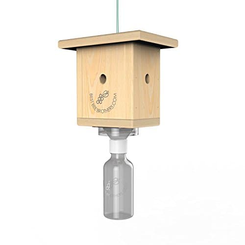Best Box Trap - Carpenter Bee Trap