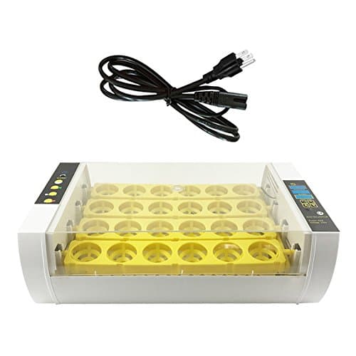Popular Wind 24 Digital Mini Fully Automatic Egg Incubator, Temperature Control Chicken Chick Duck Hatcher US Plug 110V (24 eggs)