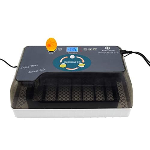 Inicio 12 Eggs Incubator Automatic Digital Temperature Control Automatic Egg Turning Turner Chicken Duck Hatcher Egg Incubator Hatcher Machine