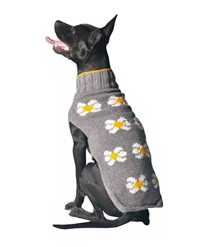 Chilly DogDaisy Dog Sweater, Medium