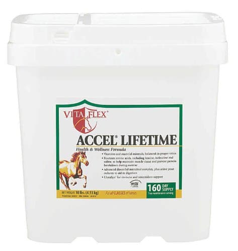 Vita Flex ACCEL Lifetime