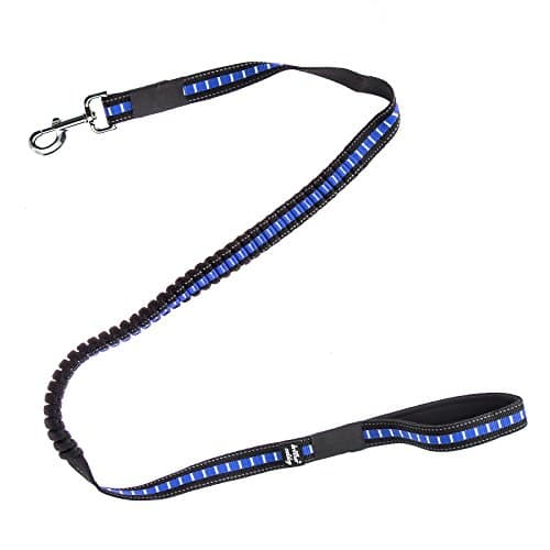 Mbangde Bungee Reflective Training Pet Leash for Small, Medium, Large and Extra Heavy Dogs Cats