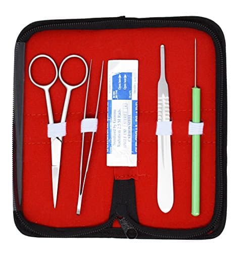 4 Pieces Dissection Kit (Straight Scissors, Dissecting Needle, Splinter Forcep, Scalpel)