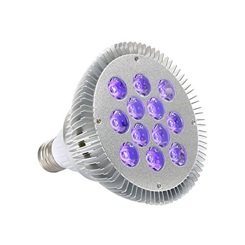 YeeSite Black Light Bulb with UV LED Spotlight (E27 Medium Base, 36W)