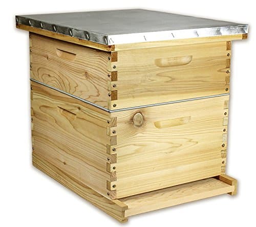 Beehive Kit 10 Frame Pine 2 Hive Boxes Deep and Medium Metal Telescoping Cover for Langstroth Beekeeping, 18 x 22 In