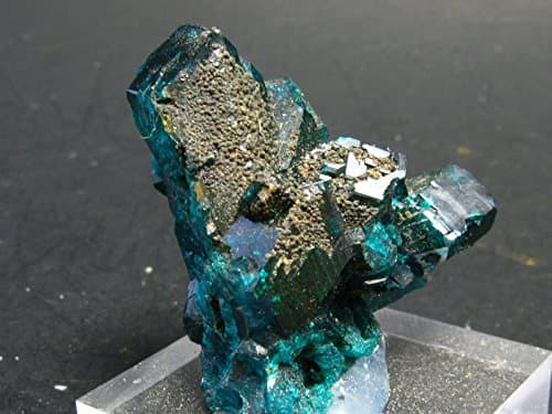 Dioptase Dioptaze Cluster From Congo - 1.5"