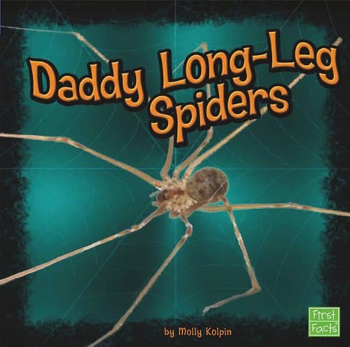 Daddy Long-Leg Spiders