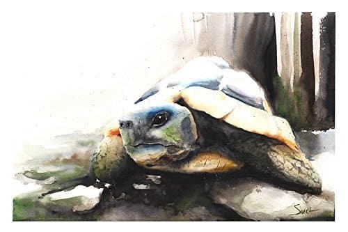 Tortoise Turtle Watercolor Print