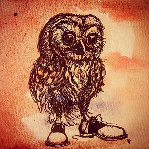 Owl in Oxfords