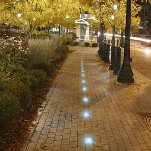 Square Halogen White Solar Light 6 pack