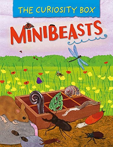 Minibeasts (The Curiosity Box)