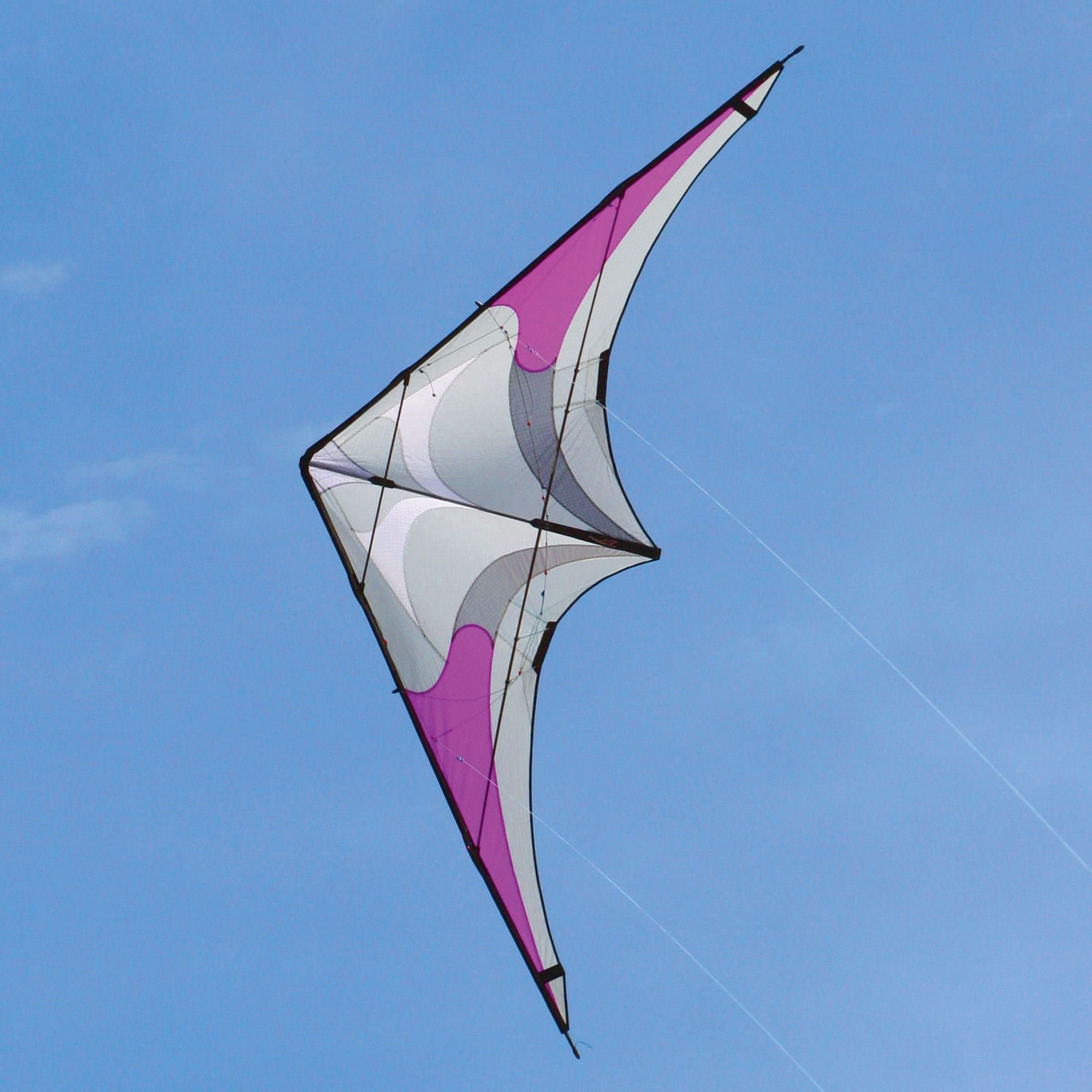 Silver Fox Stunt Kite