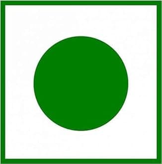 Moringa Leaf Powder | Drumstick Leaf powder | Herbal Supplement | Good For Immunity, Digestion, Skincare And Haircare | Rich In Vitamins & Minerals (500)