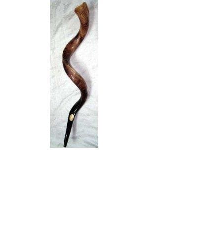 shofar