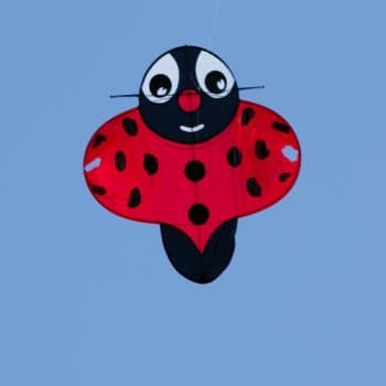 Buzzer Ladybug Kite
