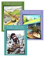 Reading Comprehension Set, Level 6