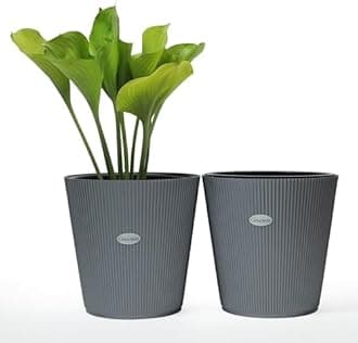 GREENON® 10 Inch Plant Pot Pack of 2 (4 Pots) Self Water | Grey Outer and Black Inner Plant Container | UnFadable Planter | Virgin Plastic Gamla | Best for Indoor and Balcony