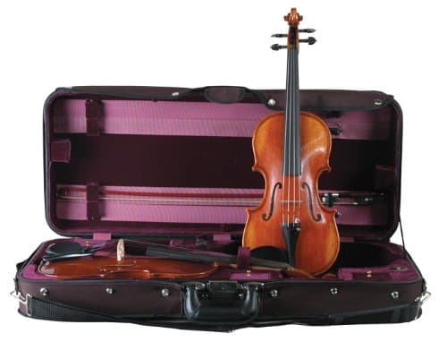Guardian CV-032 Double Violin Case