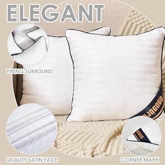 JOJOGOGO 22x22 Indoor Large Fluffy Throw Pillow Inserts Set of 2, 22 x 22 Synthetic Down Alternative Stuffing Square Pillow Inserts for Couch Bed Sofa and Living Room, Big Accent Decorative Pillows