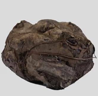 Rasaut-Raswanti-Rasanjana-Rasavanti-??????-Rasot (Rasanjan) Berberis Aristata Root Gum (100 Gms)