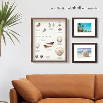 FrameWorks 8.5” x 11” Golden Oak Wooden Shadow Box Frame – Soft Felt Back, Tempered Glass, and Included Elegant White Ball Push Pins