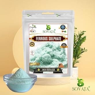 Sovata® Ferrous Sulphate, Powerful Essentail Organic Fertilizer for Overall Healthy and Fast Growth of All Plants. (900 gm)