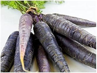 Kali Gajar Purple Carrot Seed