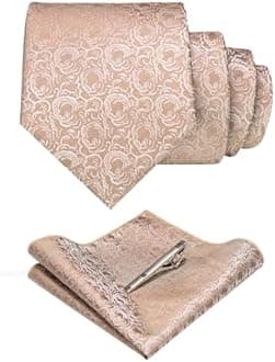 RBOCOTT Silk Stripe Plaid Tie and Pocket Square with Tie Clip Sets for Men