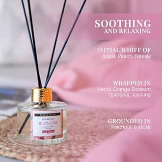 Soul & Scents Blossom Scented 4.06 oz (120ml) Reed Diffuser Set with 6 Fiber Sticks for Room Decor | Home Fragrance Reed Diffuser | Air Freshners for Home
