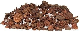 ™ Orchid Seedling Potting Mix by Waldor Orchids for Young Plants and Keiki's Contains Bark Charcoal Perlite and Coconut Husk (Cymbidium Orchid Potting Mix)