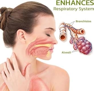 Breathdetox Herbal Lung Cleansing Spray,Breathdetox Herbal Spray,Natural Herbal Lung Essence,Herbal Lung Cleanse Mist - Powerful Lung Support (150ML)