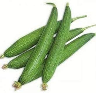 Natural Fresh Tori/Ridge Gourd Seed- 80
