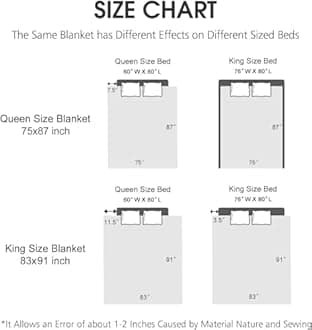 JYK Soft Blanket Heavy Korean Mink Blanket, 5 LB Fleece Blanket - 2 Ply Reversible 520GSM Silky Soft Plush Warm Blanket for Autumn Winter (Queen, Peony/Peony)