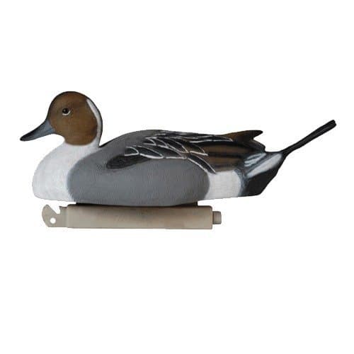 Pintail 12D 12Pk