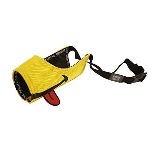 Cesar MillanFriendly Muzzle™, Yellow, Size 4
