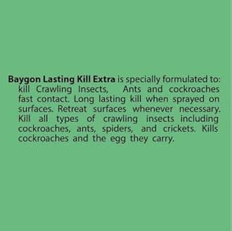 Baygon Indoor Insect & Pest Control - CIK 300ml