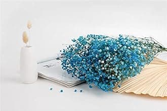 Natural Dry Flower Gypsophila Fresh Dried Preserved Flowers Gypsophila Paniculata Breath Flower Bouquets For Wedding Party Home Dekoration (Pink,40-55cm80g)