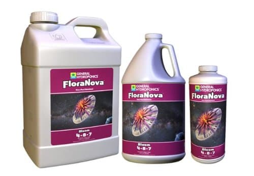 FloraNova Bloom Quart 718810
