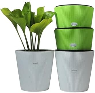 GREENON® 10 Inch Self Watering Plant Pot Set of 4 (8 Pots) | Green, White Outer & Black Inner Planters | Heavy Duty Virgin Plastic | UV Treated Gamla | Ideal for Indoor, Balcony & Home Garden