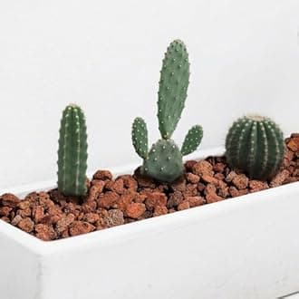 GasSaf 10 Pounds Red Lava Rocks for Fire Pit, Gas Fireplace, Gas Fire Tables, Gas Log Set, Fire Bowls, Decorative Landscaping Rocks for Indoor and Outdoor (2.75-5 Inch)