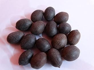 Ezeegrow Japanese Lotus Seed High Germination Rate Premium Pack for Planting in Water Indoor Lotus Kamal Gatta Flower Seed Home Gardening Indoor Outdoor Home Balcony (Pack of 120, 6, count)