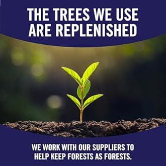 SparkleÃ‚® Tear-A-SquareÃ‚® Paper Towels, 2 Double Rolls = 4 Regular Rolls, 2 Count (Pack of 1)